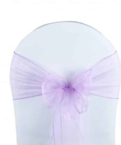 noeud de chaise Organza Parme