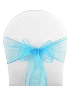 noeud organza turquoise