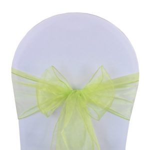 noeud organza vert citron