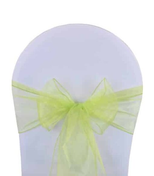 noeud organza vert citron