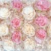 Mur FLORAL rose champagne location evenement