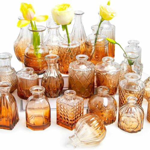 Location Vases en Verre - Lot de 24