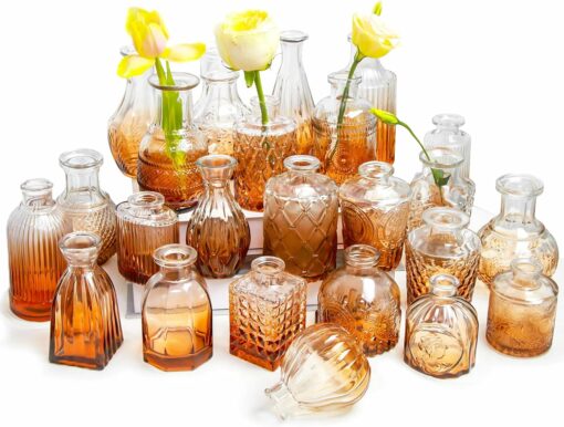 Location Vases en Verre - Lot de 24