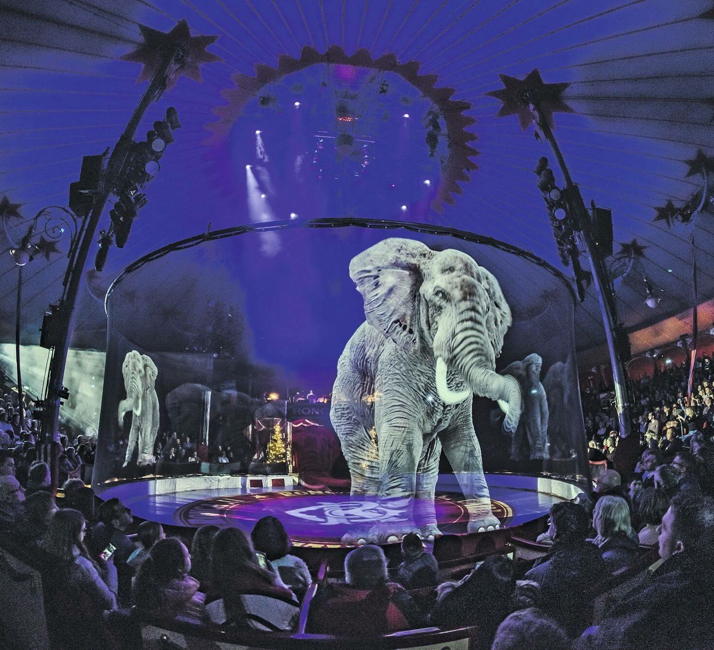 Spectacles Visuels d’Exception - N1 Événement