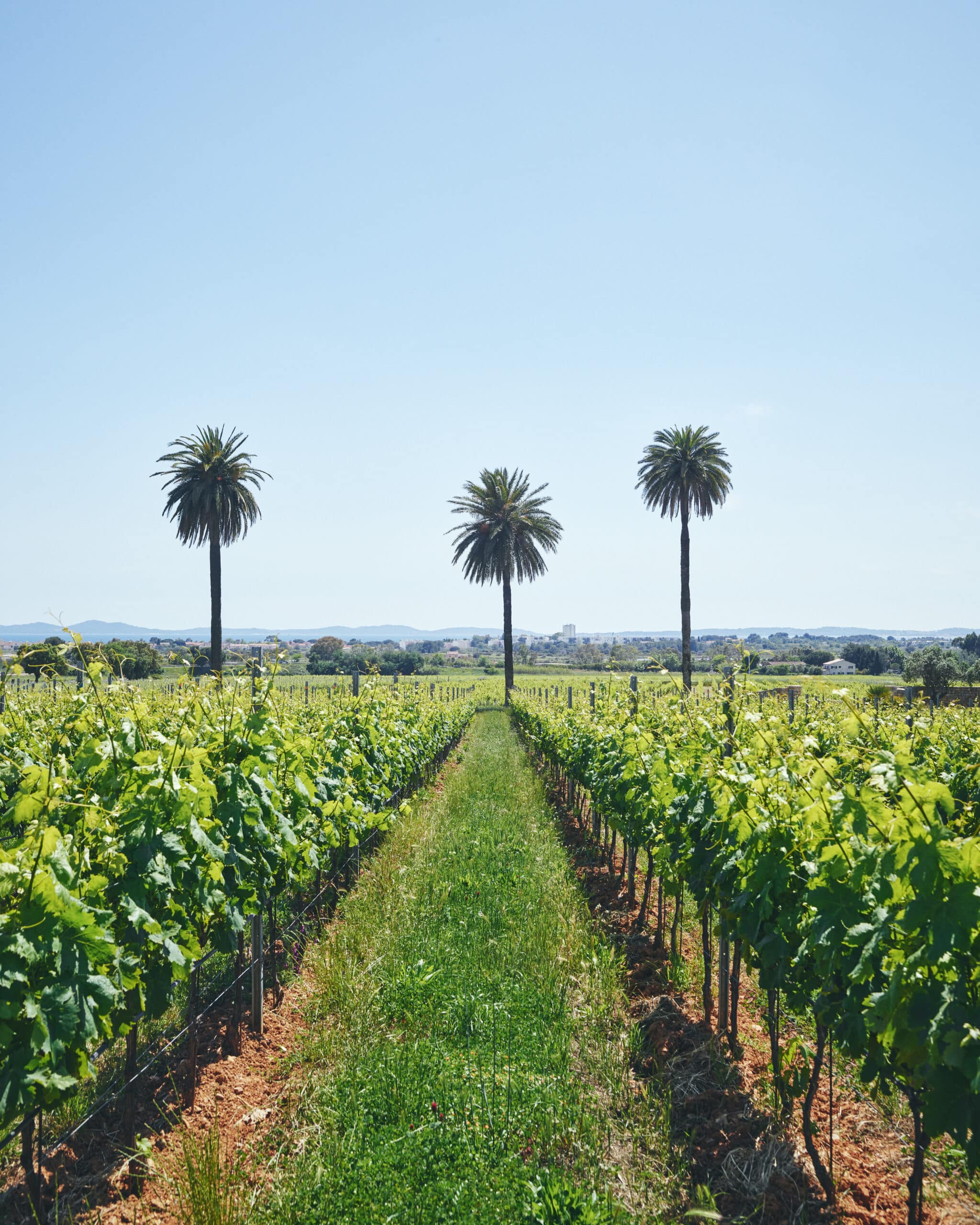 Château Galoupet – Lieu d’exception en Provence | N1 Événement - N1 Événement